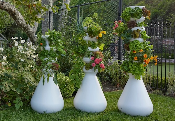 An outdoor farmstand from Lettuce Grow